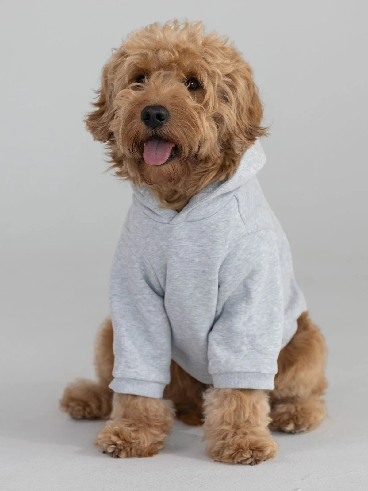 Coordinate Paw Hoodie - Image 2