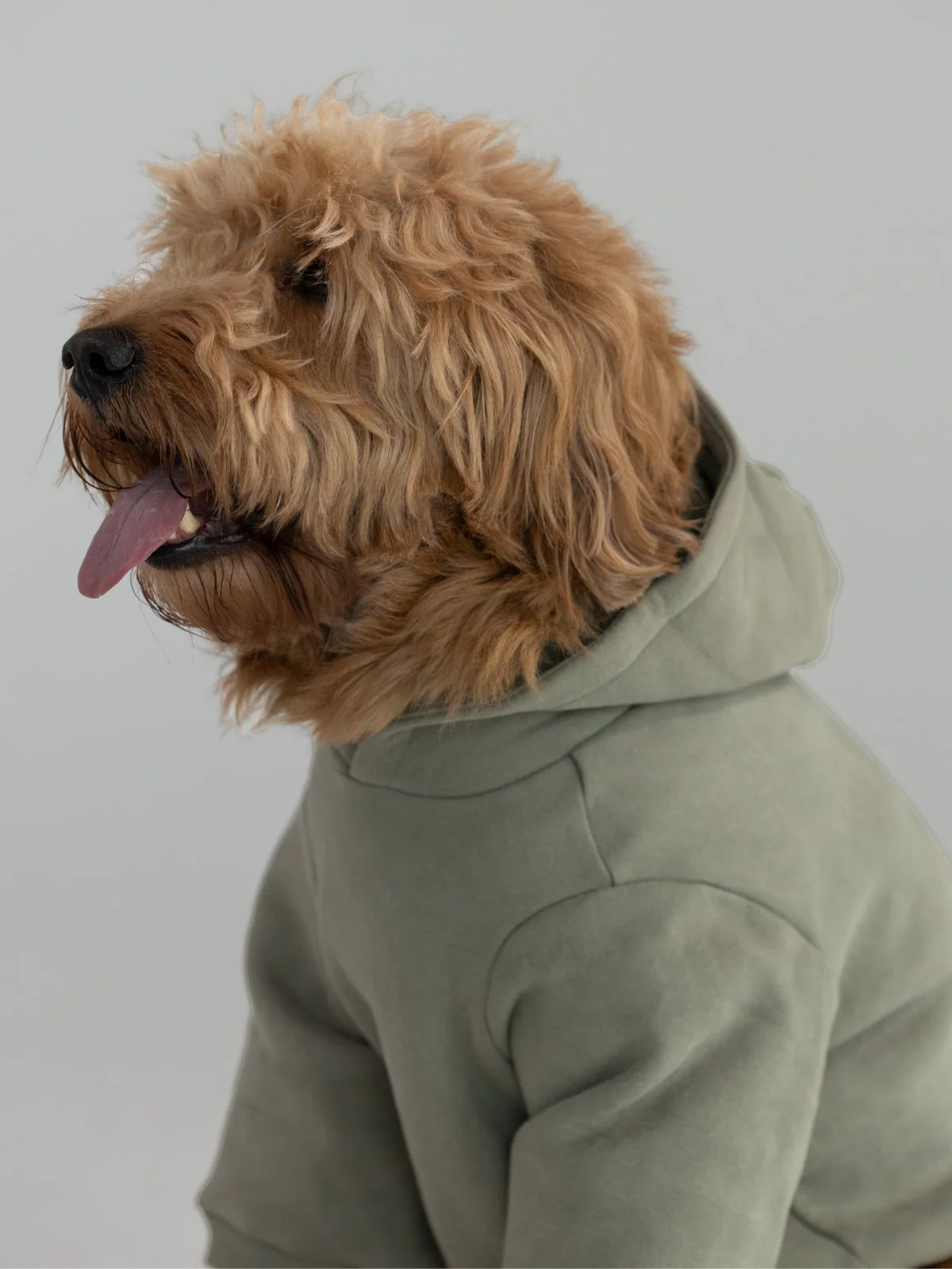 Coordinate Paw Hoodie - Image 3