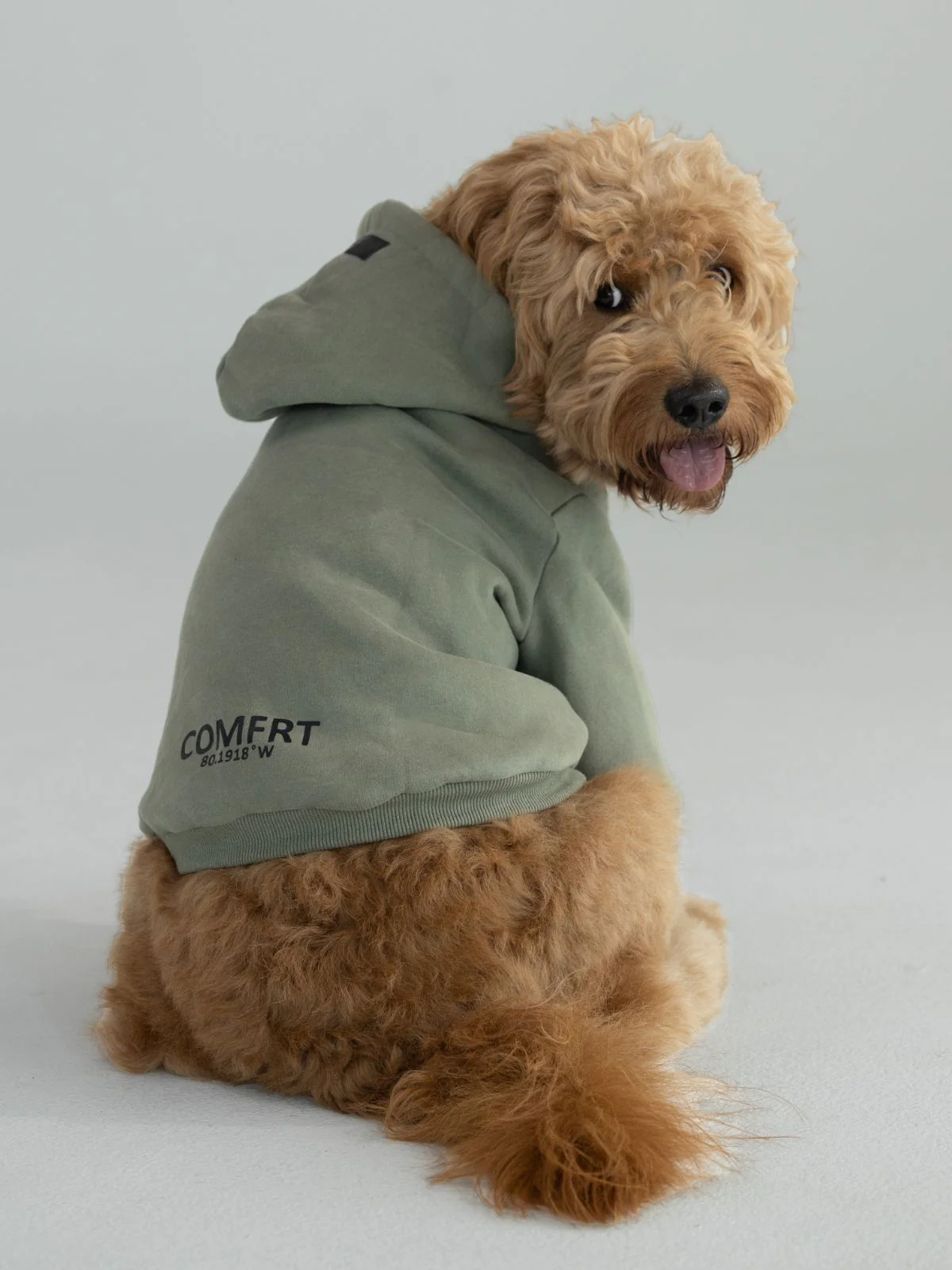 Coordinate Paw Hoodie - Image 4