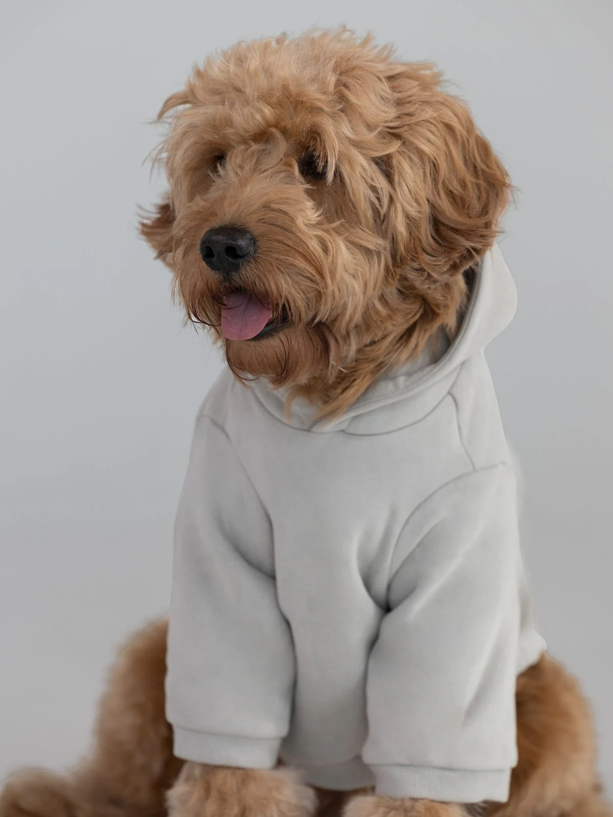 Coordinate Paw Hoodie - Image 6