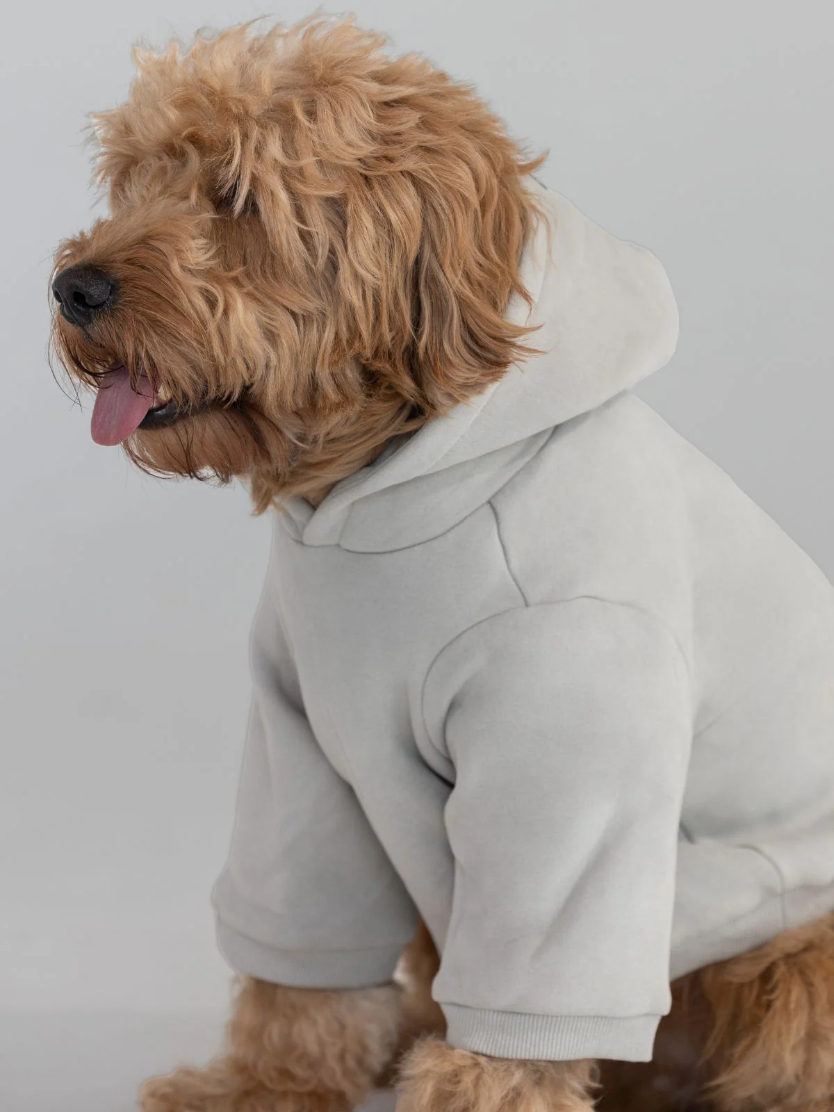 Coordinate Paw Hoodie - Image 8