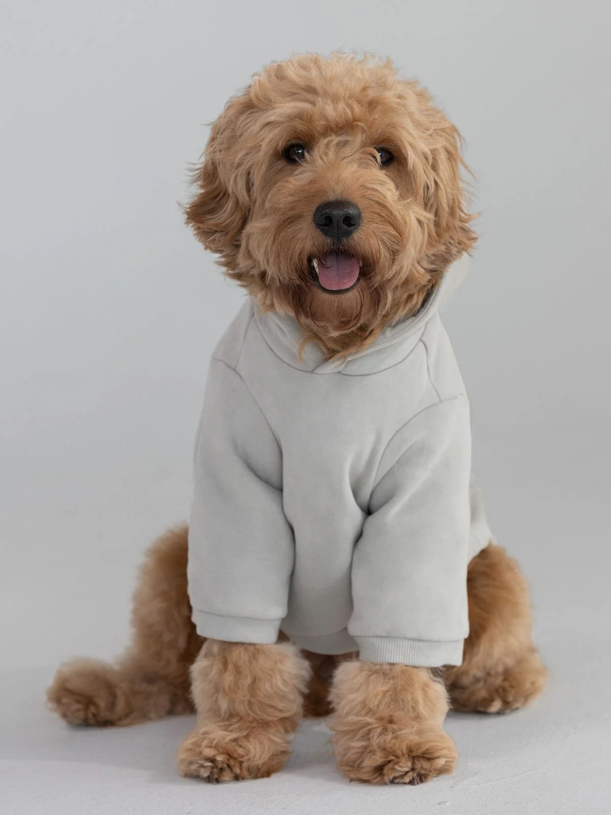 Coordinate Paw Hoodie - Image 9