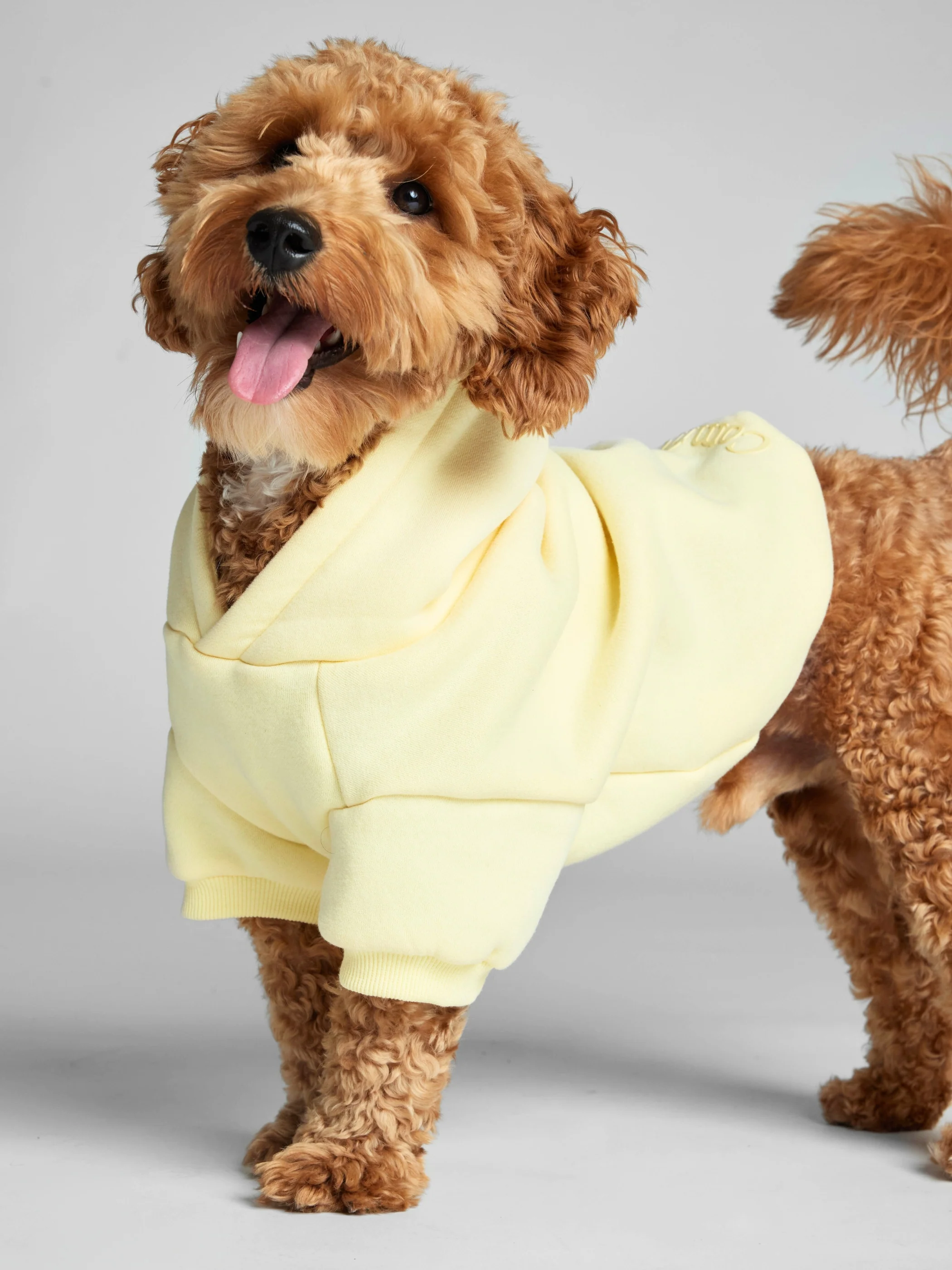 Minimalist Paw Hoodie - Image 31