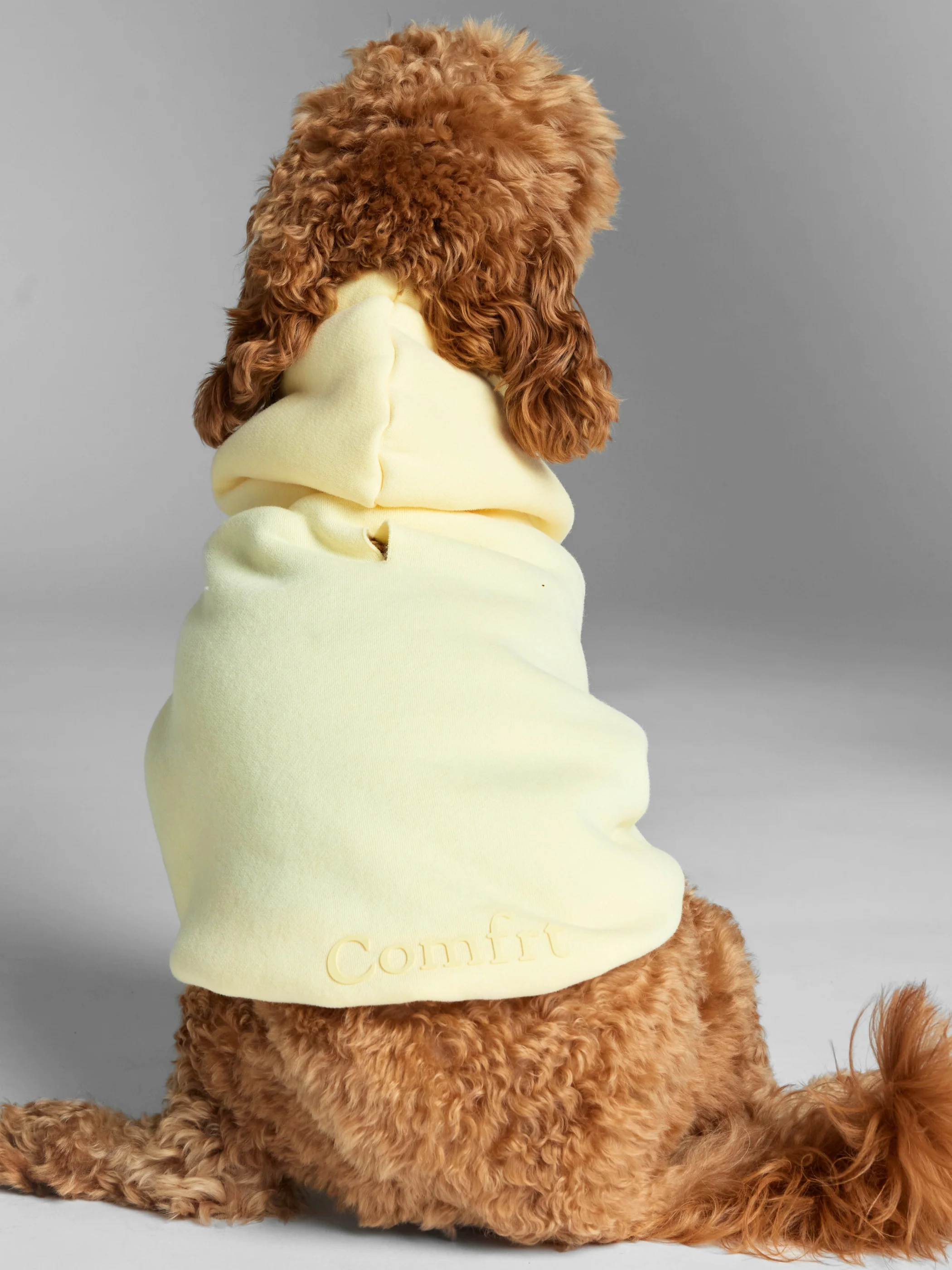 Minimalist Paw Hoodie - Image 33