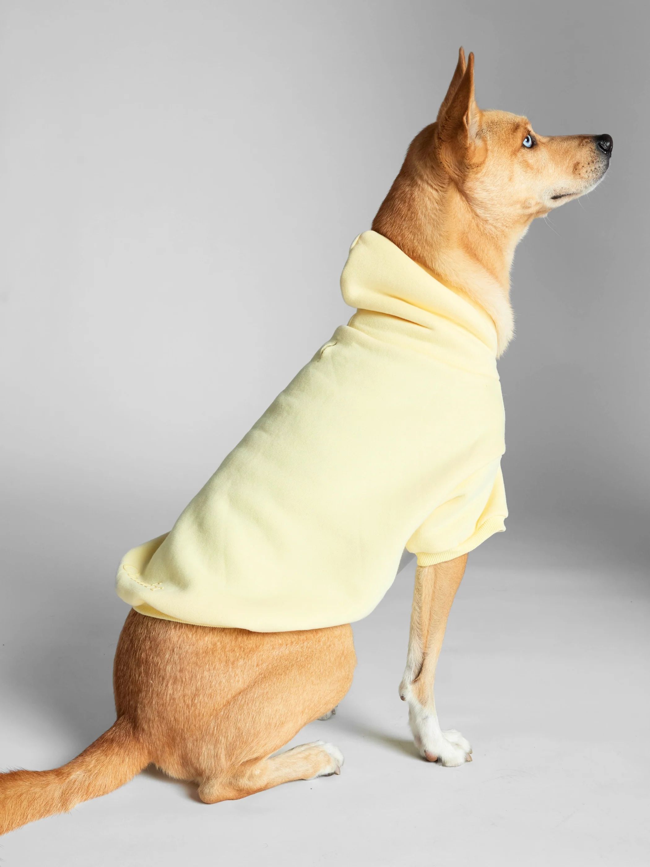 Minimalist Paw Hoodie - Image 34