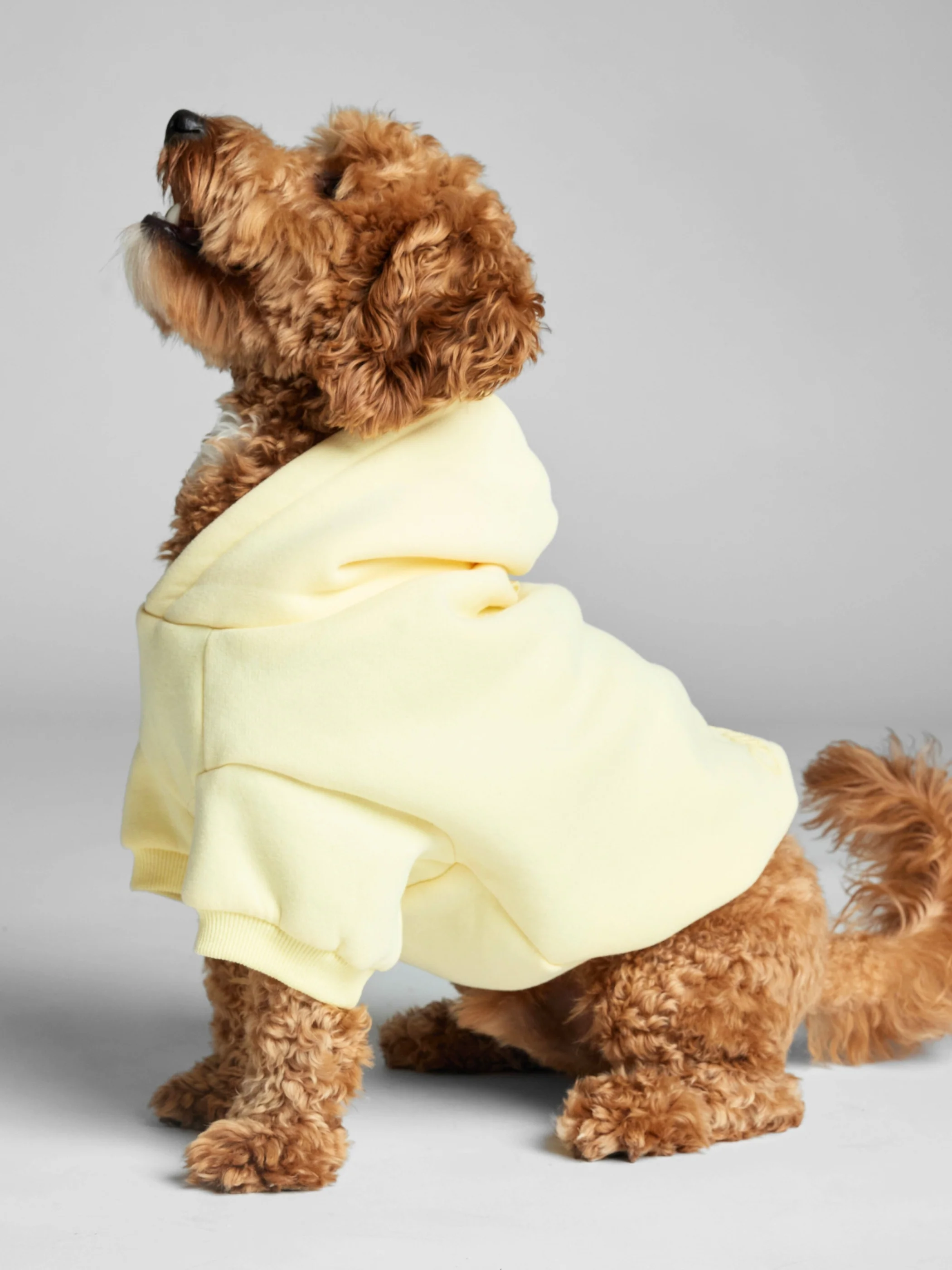 Minimalist Paw Hoodie - Image 35
