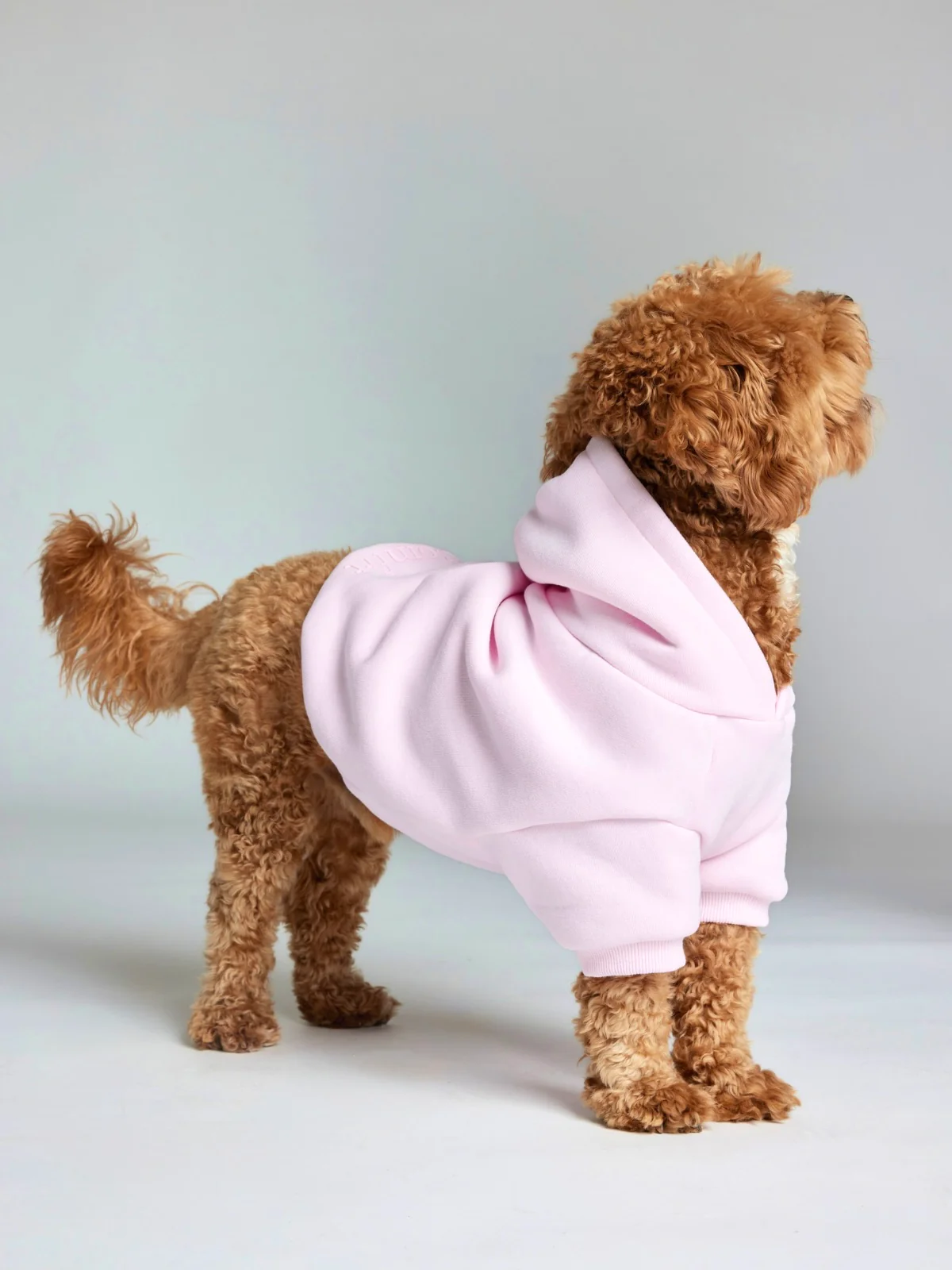 Minimalist Paw Hoodie - Image 39