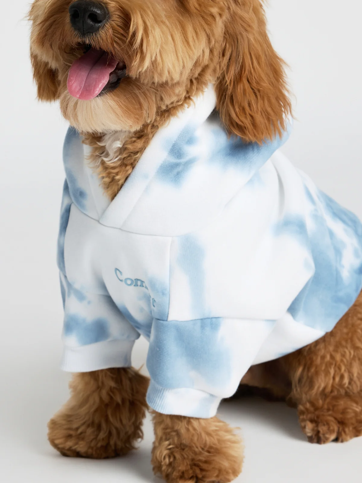 Minimalist Paw Hoodie - Pre-Order - Image 11