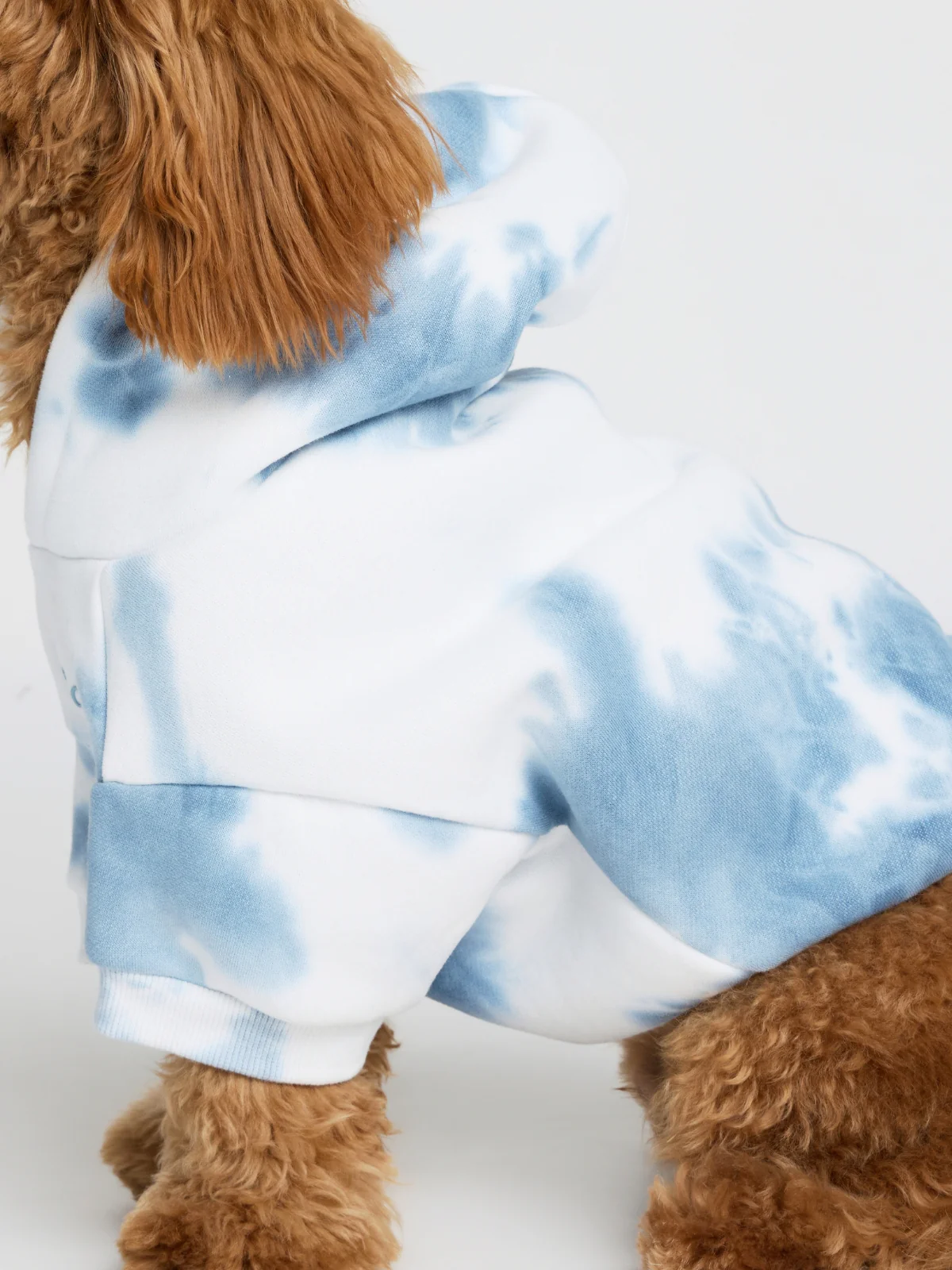 Minimalist Paw Hoodie - Pre-Order - Image 12