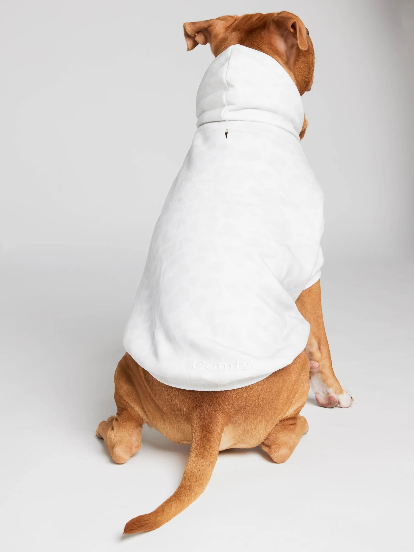 Minimalist Paw Hoodie - Pre-Order - Image 15