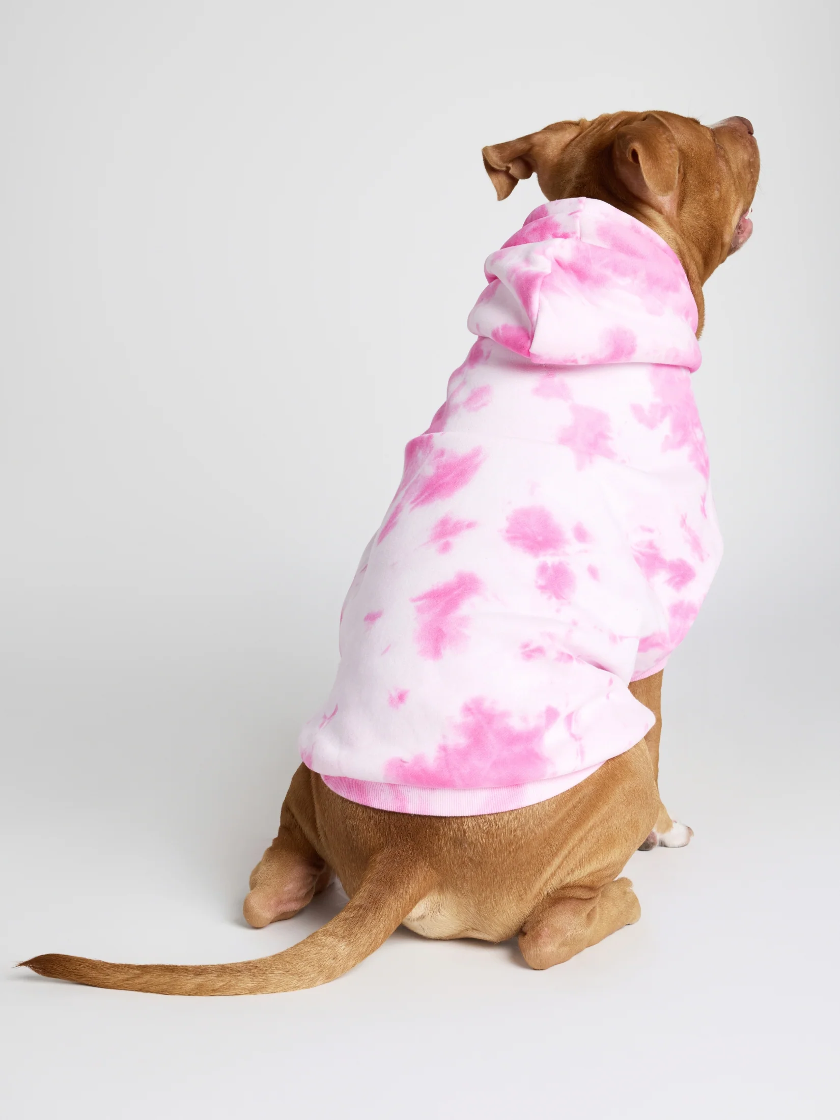 Minimalist Paw Hoodie - Pre-Order - Image 6