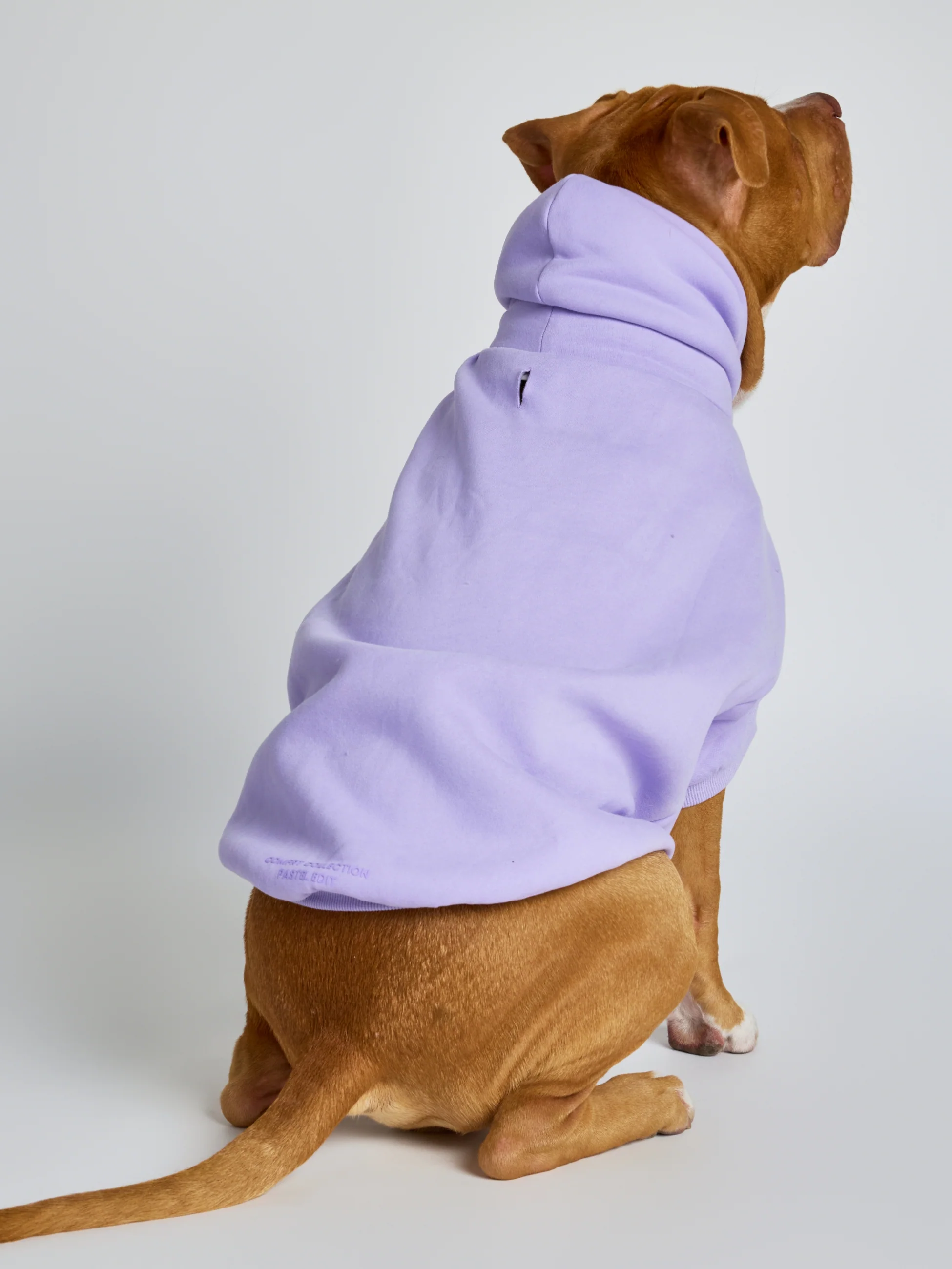 Pastel Paw Hoodie - Pre Order - Image 11