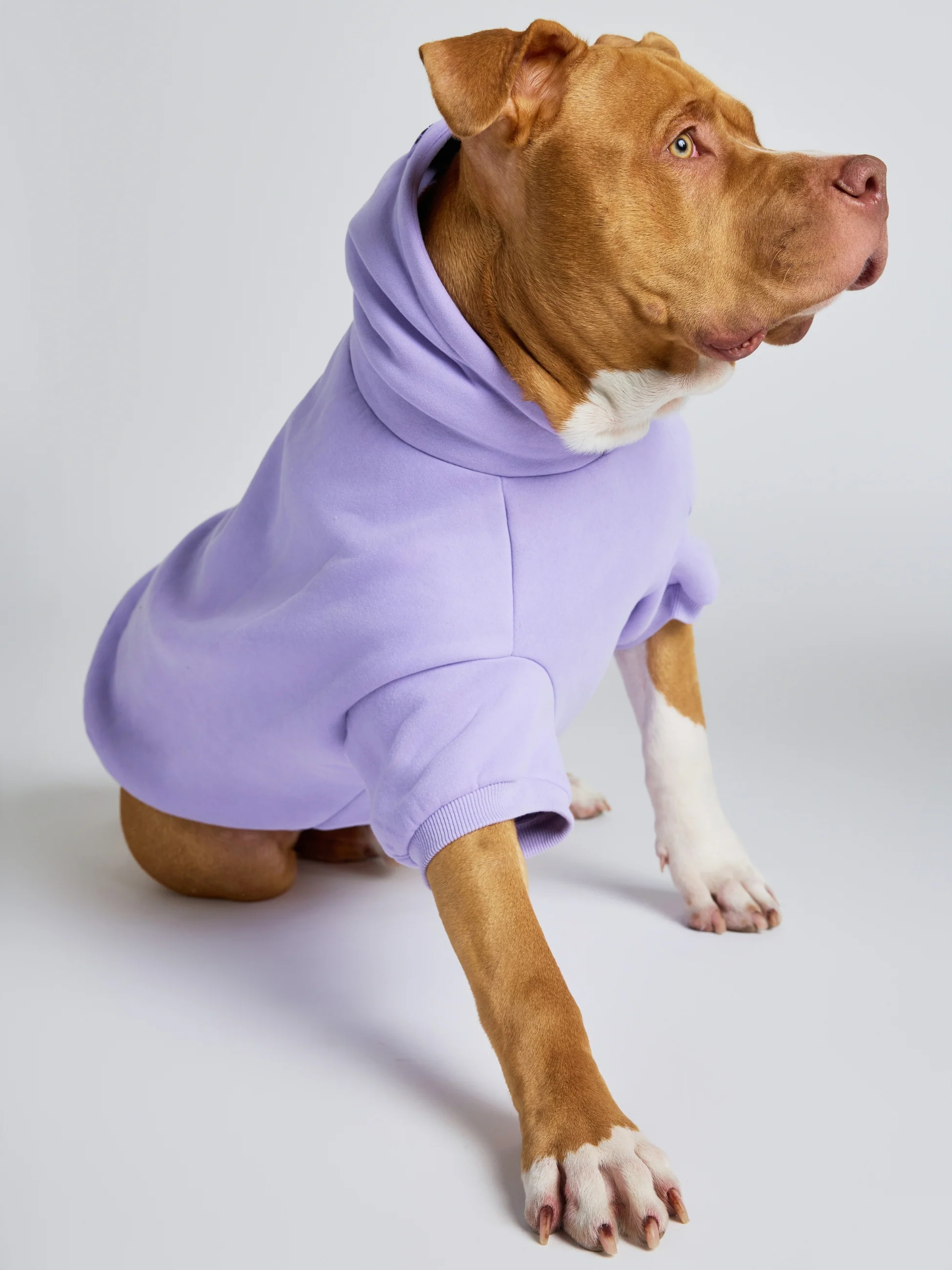 Pastel Paw Hoodie - Pre Order - Image 12