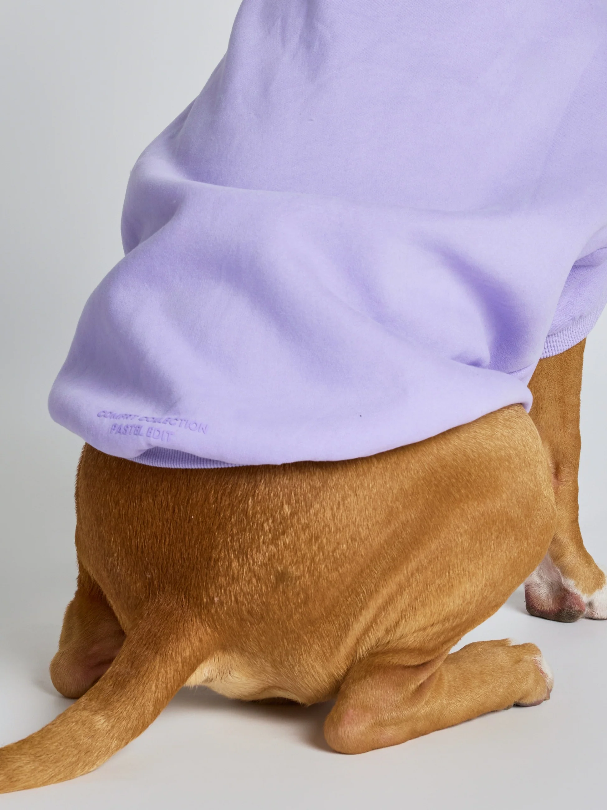 Pastel Paw Hoodie - Pre Order - Image 13