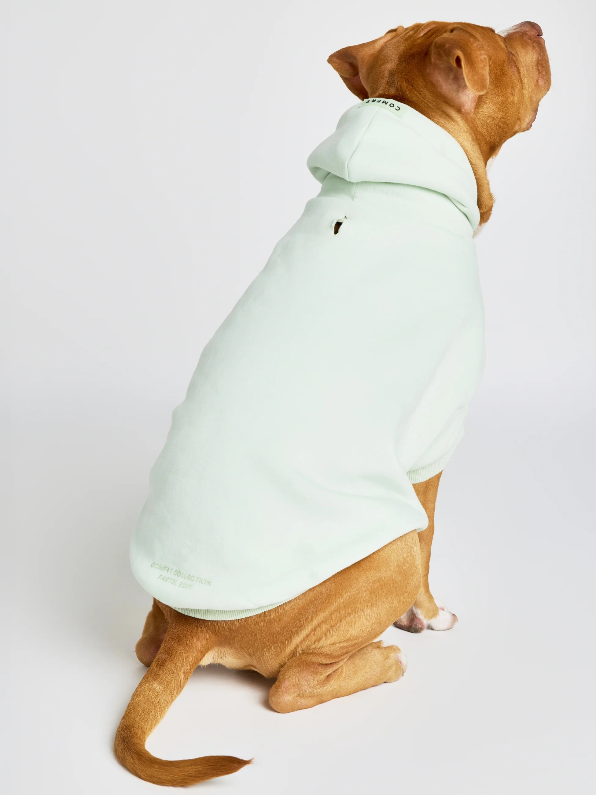 Pastel Paw Hoodie - Pre Order - Image 17