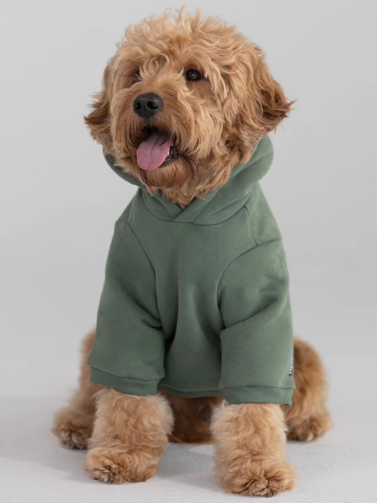 Standard Paw Hoodie - Image 13