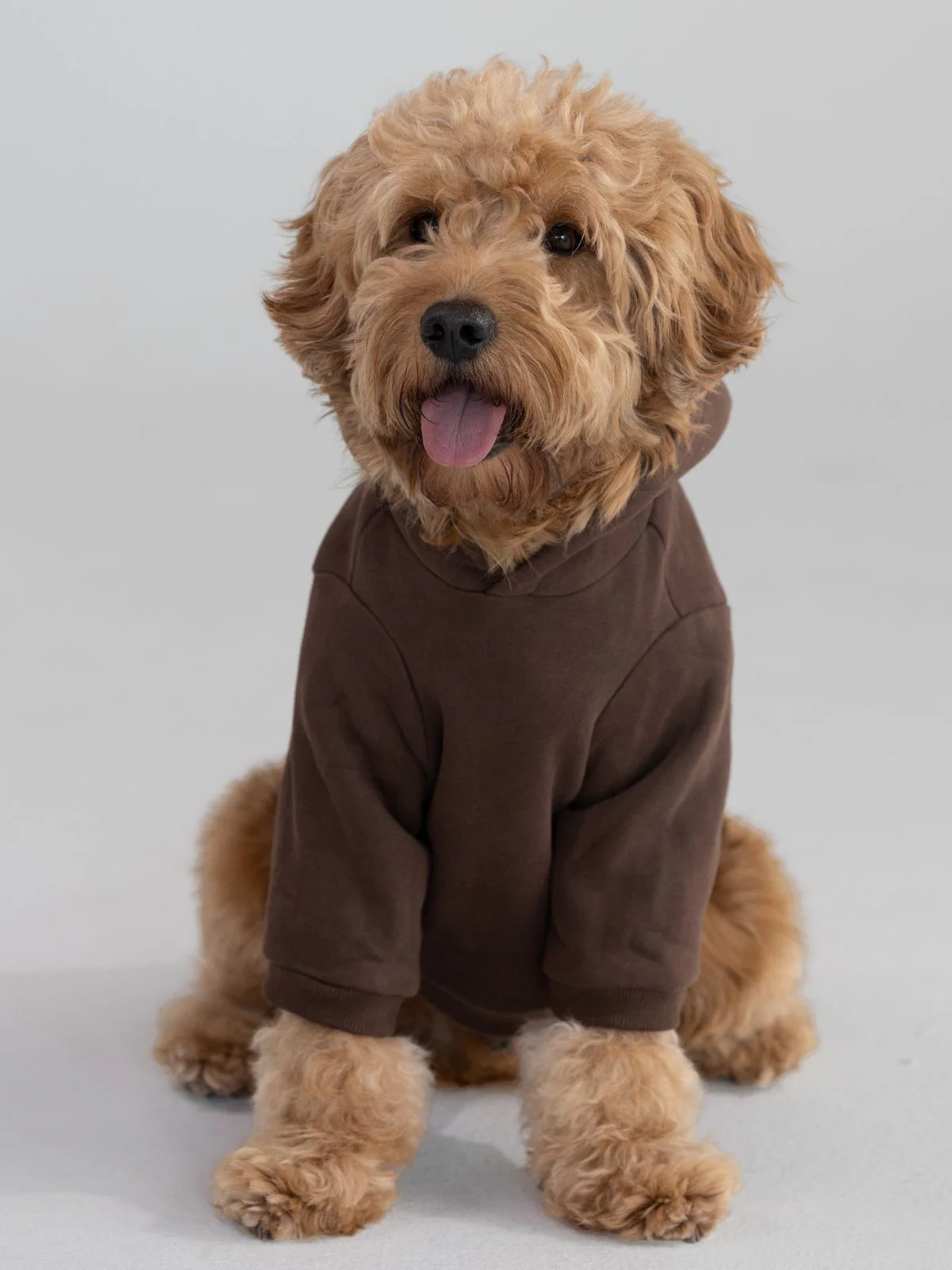 Standard Paw Hoodie - Image 5