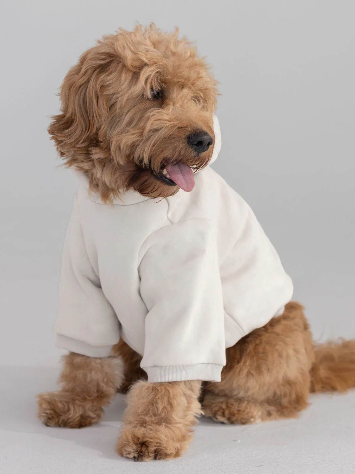 Tranquil Paw Hoodie - Image 11