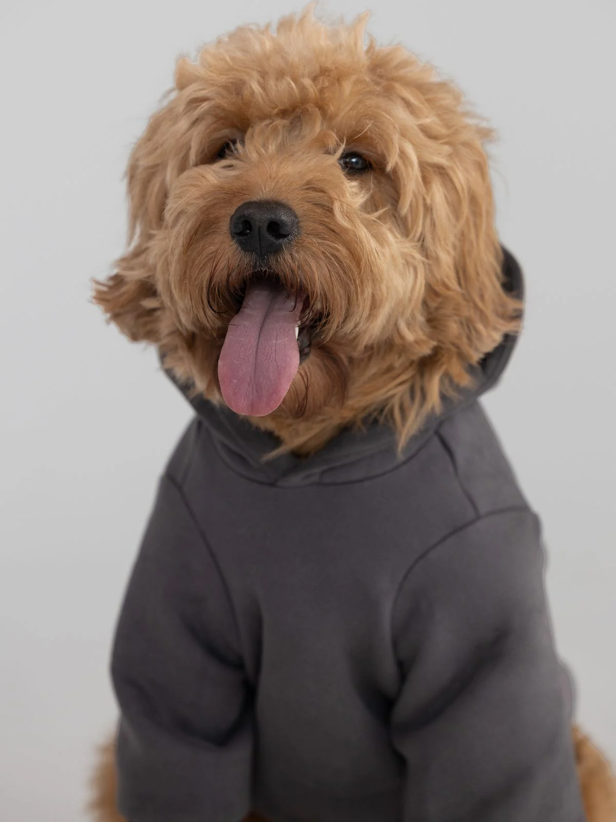Tranquil Paw Hoodie - Image 13