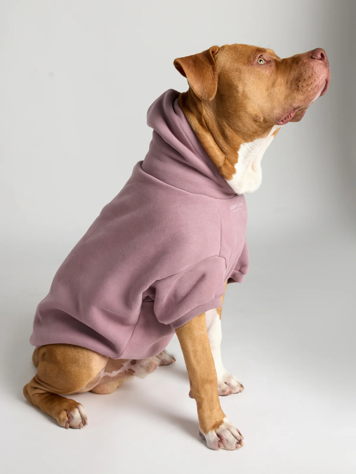 You Matter Paw Hoodie - Image 17