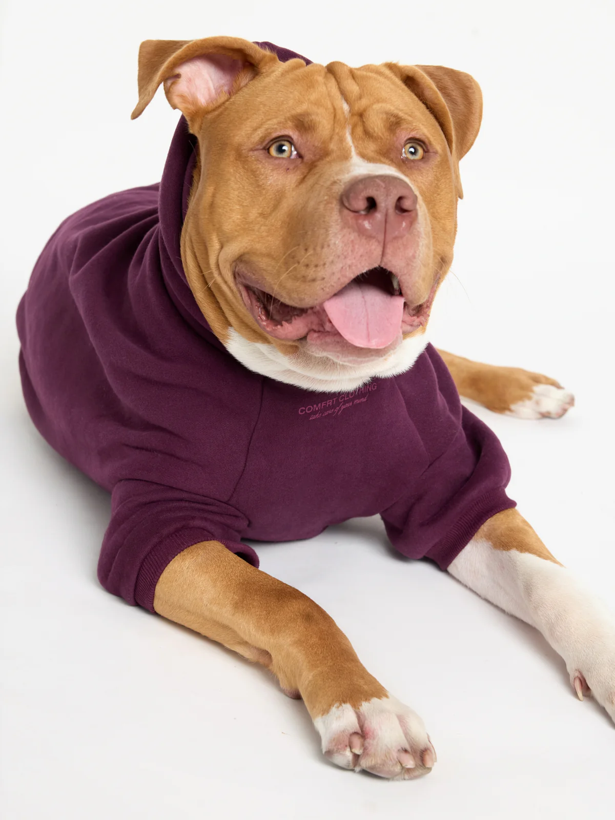 You Matter Paw Hoodie - Image 24