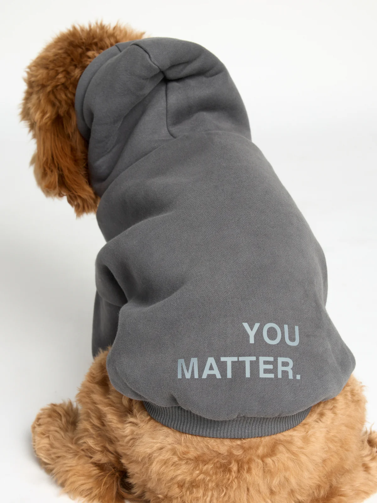 You Matter Paw Hoodie - Image 27
