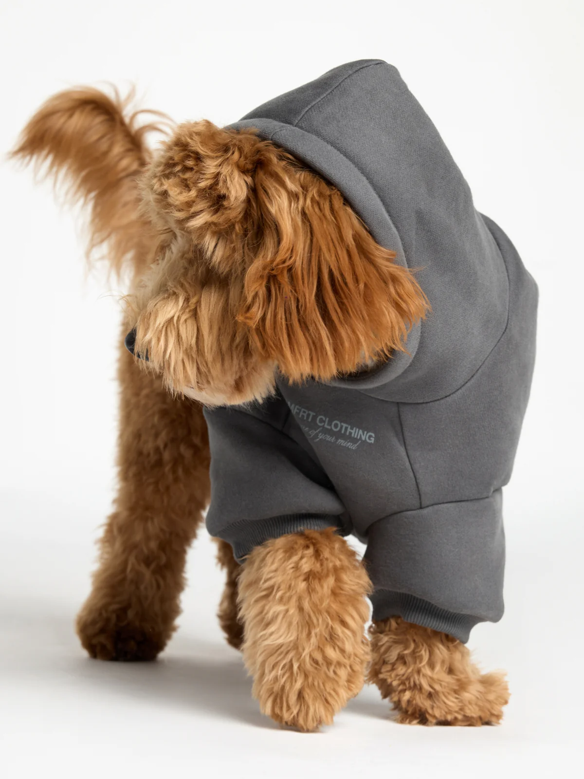 You Matter Paw Hoodie - Image 28