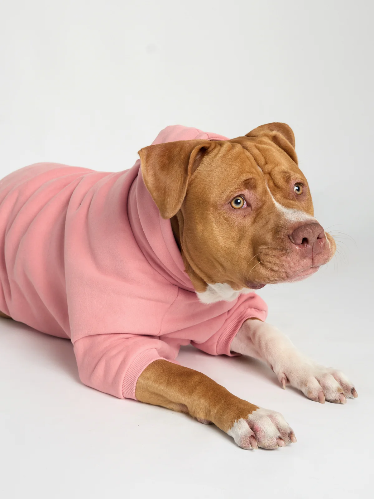 You Matter Paw Hoodie - Image 5